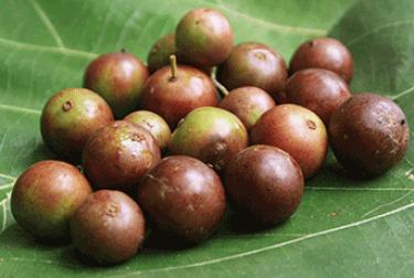 ඔබත්  දියවැඩියාව  නිසා පීඩා විදිනවාද