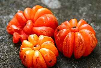 ගුණ සපිරි ගොරකා